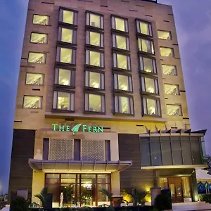 The Fern,