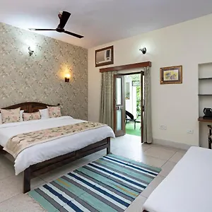 Madhav's Mallet B&B 자이푸르