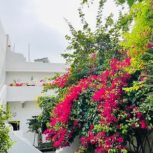 Guest house Mosaics Jaipur