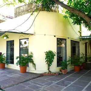 The Lata's- A Pet-friendly